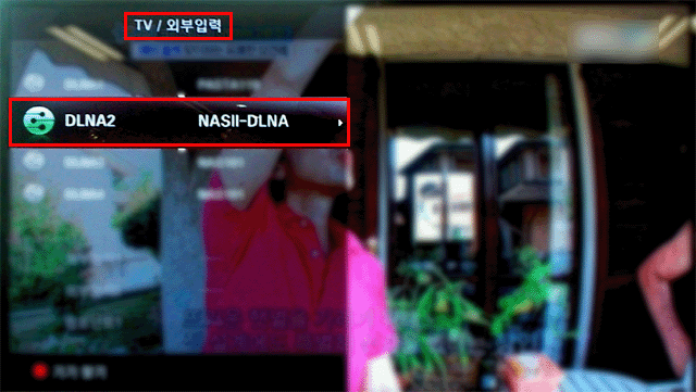 dlna2_1.gif