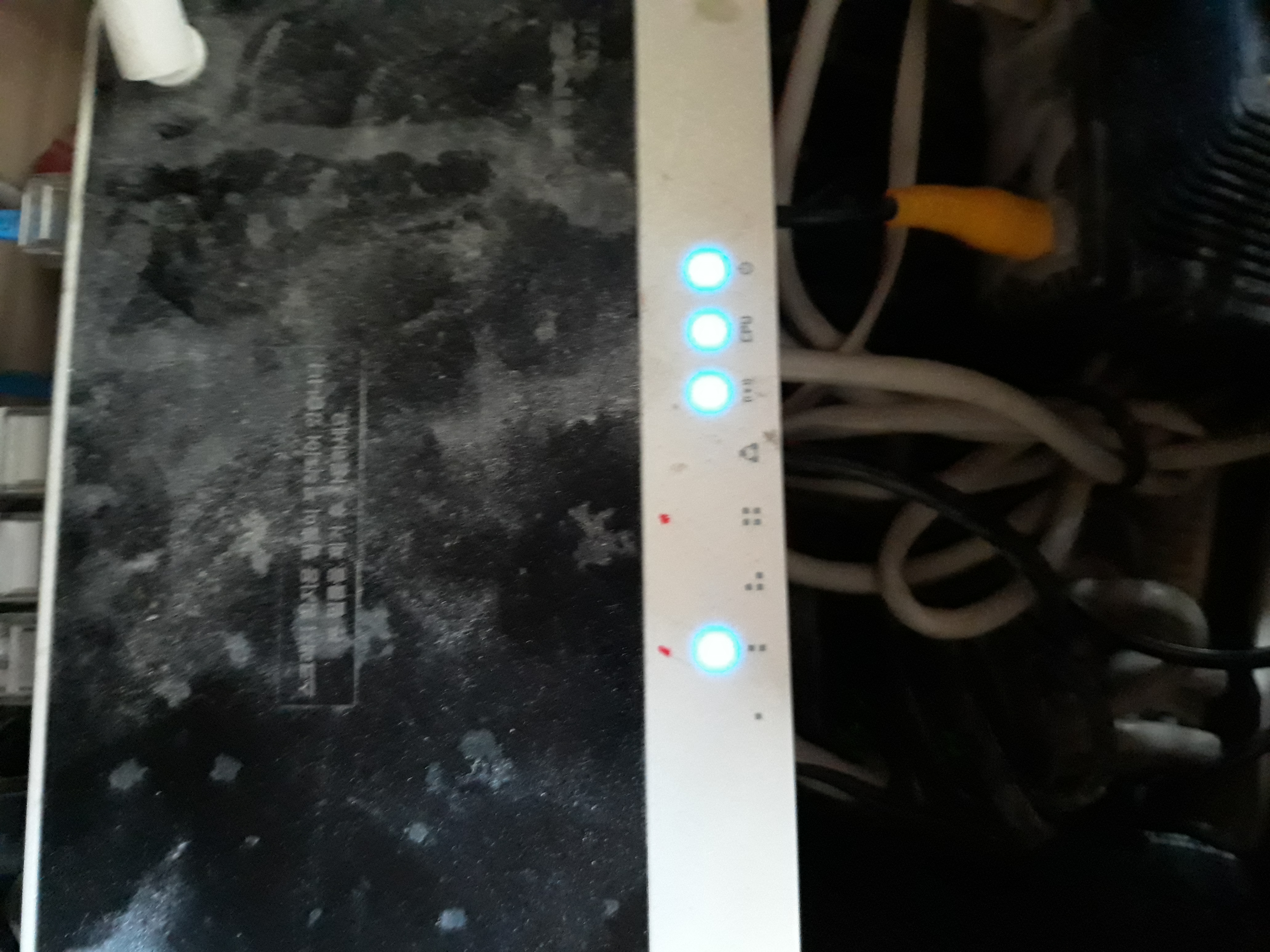 20190529_162824.jpg