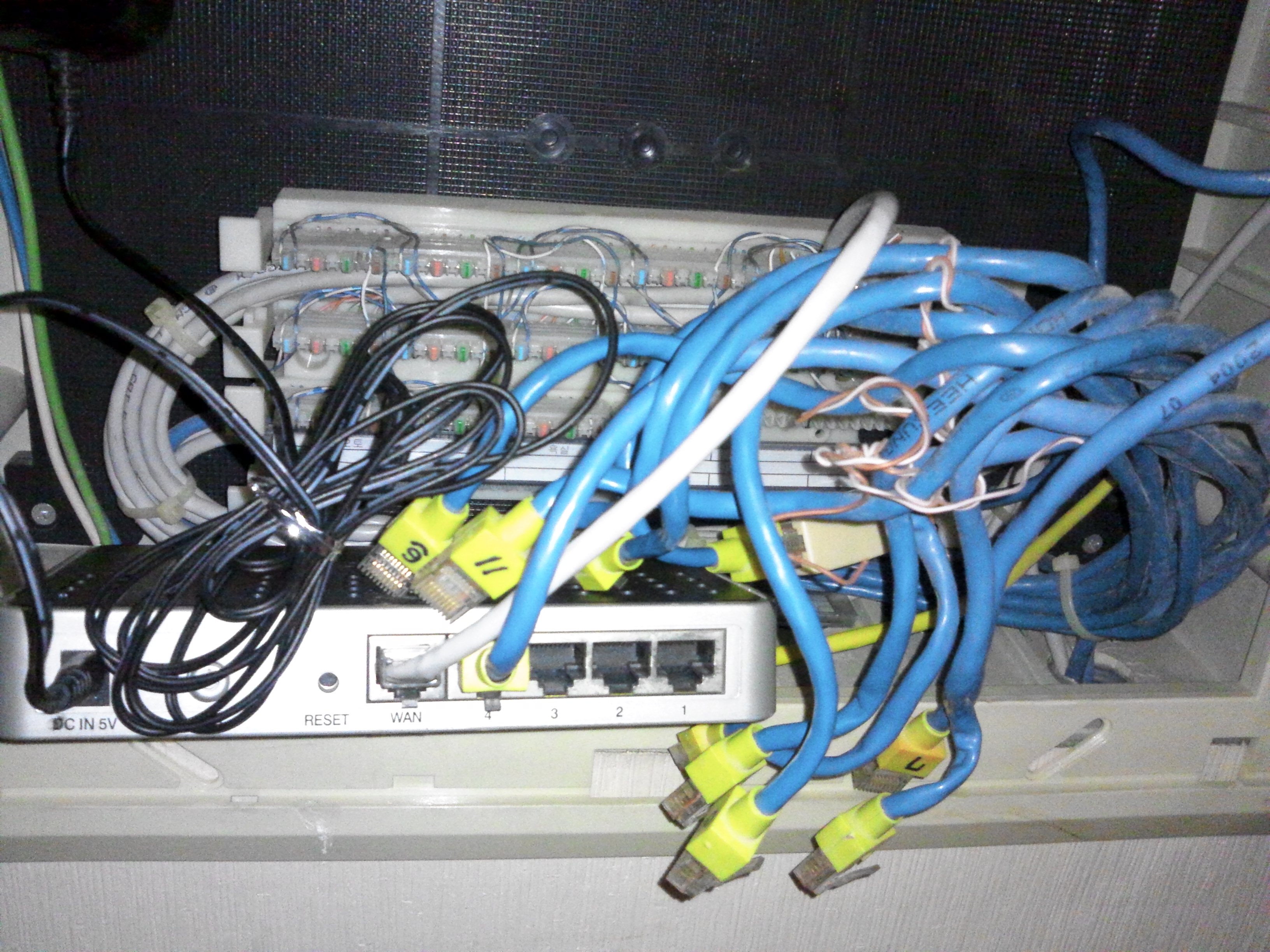 IMG_20130425_131154.jpg