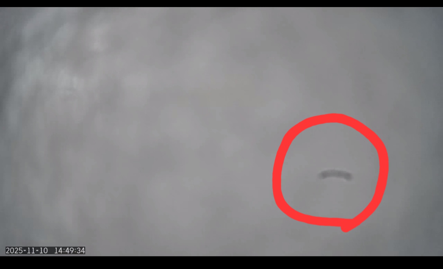 Screenshot_20251110_144934_ipTIME CCTV.jpg