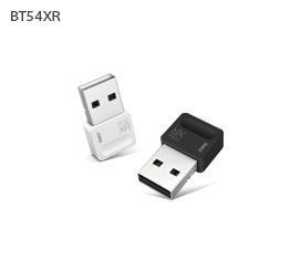 BT54XR