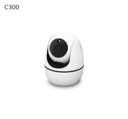 C300